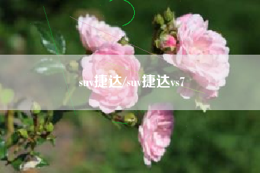 suv捷达/suv捷达vs7