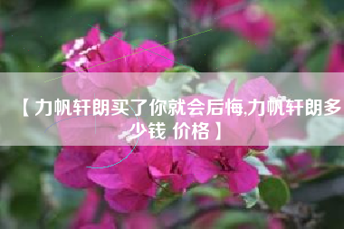 【力帆轩朗买了你就会后悔,力帆轩朗多少钱 价格】 【力帆轩朗买了你就会后悔,力帆轩朗多少钱 价格】