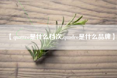 【quattro是什么档次,quadro是什么品牌】