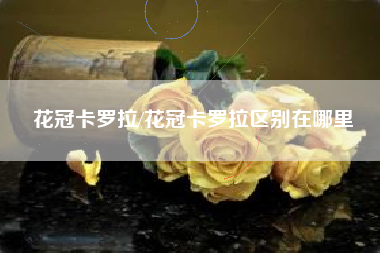 花冠卡罗拉/花冠卡罗拉区别在哪里 花冠卡罗拉/花冠卡罗拉区别在哪里