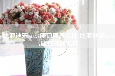 比亚迪宋max7座口碑怎么样/比亚迪宋max7座性能怎么样 比亚迪宋max7座口碑怎么样/比亚迪宋max7座性能怎么样