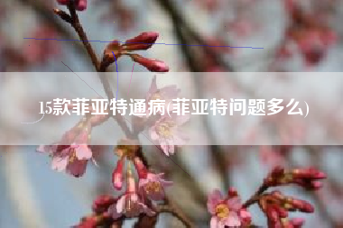 15款菲亚特通病(菲亚特问题多么) 15款菲亚特通病(菲亚特问题多么)