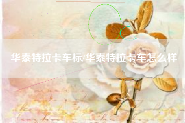 华泰特拉卡车标/华泰特拉卡车怎么样