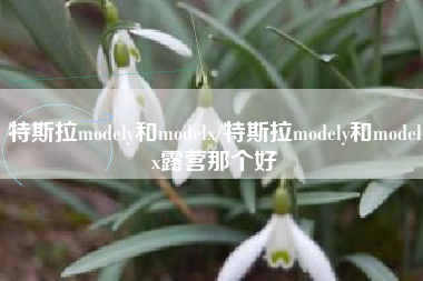 特斯拉modely和modelx/特斯拉modely和modelx露营那个好 特斯拉modely和modelx/特斯拉modely和modelx露营那个好