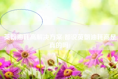 英朗油耗高解决方案(都说英朗油耗高是真的吗)