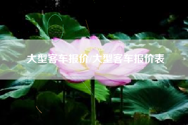 大型客车报价/大型客车报价表 大型客车报价/大型客车报价表