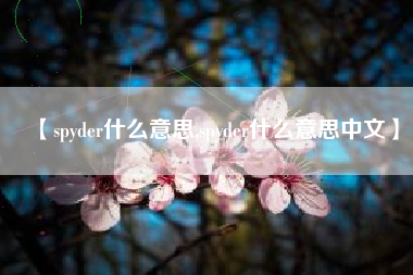 【spyder什么意思,spyder什么意思中文】