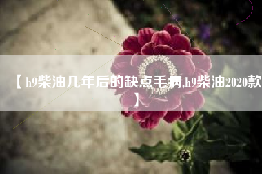 【h9柴油几年后的缺点毛病,h9柴油2020款】