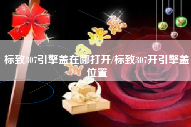 标致307引擎盖在哪打开/标致307开引擎盖位置