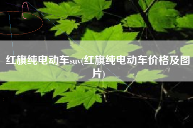 红旗纯电动车suv(红旗纯电动车价格及图片)