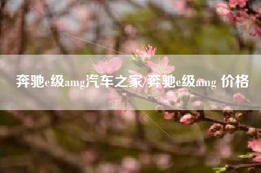 奔驰e级amg汽车之家/奔驰e级amg 价格