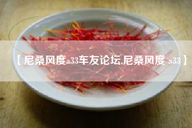 【尼桑风度a33车友论坛,尼桑风度 a33】