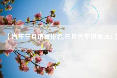 【汽车三月销量排名,三月汽车销量2021】