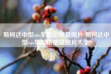 斯柯达中型suv车型价格及图片(斯柯达中型suv车型价格及图片大全)