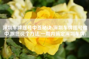 深圳车牌摇号中签秘诀(深圳车牌摇号难中,跟您说个方法,一周内搞定深圳车牌) 深圳车牌摇号中签秘诀(深圳车牌摇号难中,跟您说个方法,一周内搞定深圳车牌)