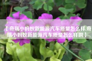 【奇瑞小蚂蚁新能源汽车质量怎么样,奇瑞小蚂蚁新能源汽车质量怎么样啊】
