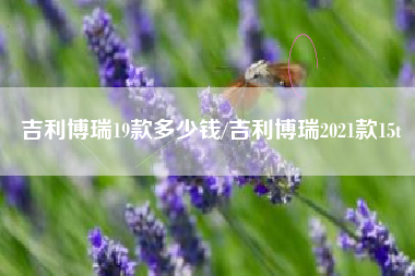 吉利博瑞19款多少钱/吉利博瑞2021款15t