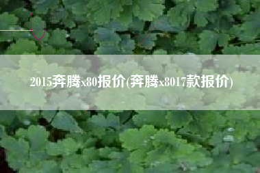 2015奔腾x80报价(奔腾x8017款报价)