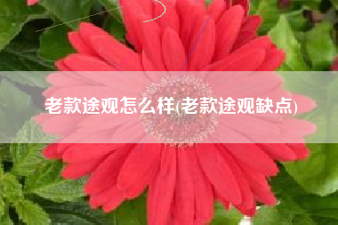 老款途观怎么样(老款途观缺点)