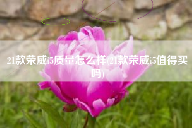 21款荣威i5质量怎么样(21款荣威i5值得买吗)