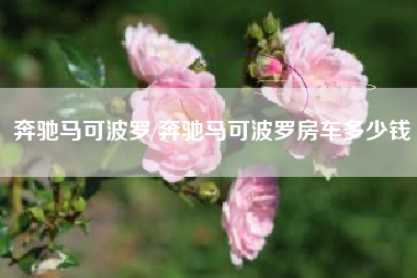 奔驰马可波罗/奔驰马可波罗房车多少钱