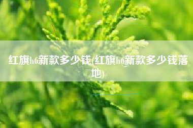 红旗h6新款多少钱(红旗h6新款多少钱落地) 红旗h6新款多少钱(红旗h6新款多少钱落地)