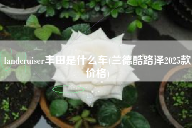 landcruiser丰田是什么车(兰德酷路泽2025款价格)