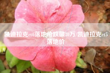 凯迪拉克ct6落地价跌破30万/凯迪拉克ct5落地价