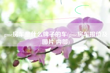 gmc房车是什么牌子的车(gmc房车报价及图片 内部)