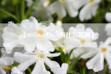 【dvvt,dvvt和cvvt有什么区别】 【dvvt,dvvt和cvvt有什么区别】
