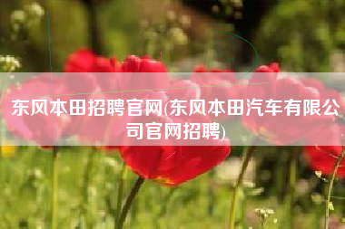 东风本田招聘官网(东风本田汽车有限公司官网招聘)