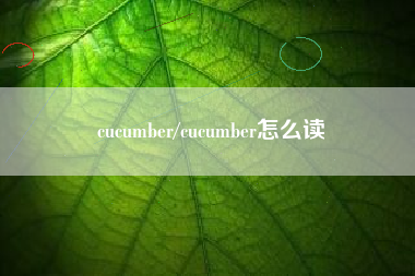 cucumber/cucumber怎么读
