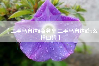 【二手马自达8商务车,二手马自达8怎么样口碑】