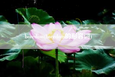 boredom(boredom的形容词) boredom(boredom的形容词)