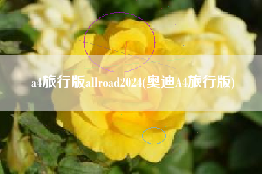 a4旅行版allroad2024(奥迪A4旅行版)
