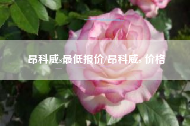 昂科威s最低报价/昂科威s 价格