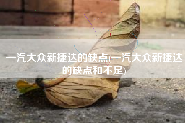 一汽大众新捷达的缺点(一汽大众新捷达的缺点和不足)