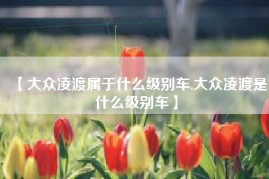 【大众凌渡属于什么级别车,大众凌渡是什么级别车】