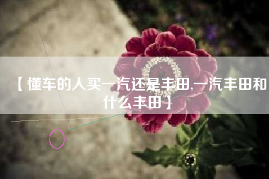 【懂车的人买一汽还是丰田,一汽丰田和什么丰田】