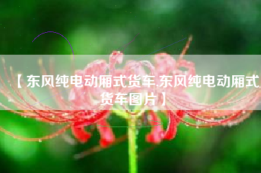 【东风纯电动厢式货车,东风纯电动厢式货车图片】 【东风纯电动厢式货车,东风纯电动厢式货车图片】