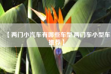 【两门小汽车有哪些车型,两门车小型车推荐】