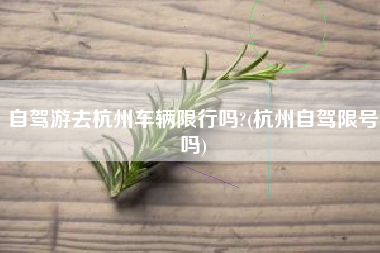 自驾游去杭州车辆限行吗?(杭州自驾限号吗)