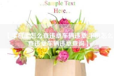 【手机上怎么查违章车辆违章,手机怎么查违章车辆违章查询】