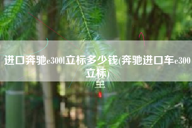 进口奔驰e300l立标多少钱(奔驰进口车e300立标)