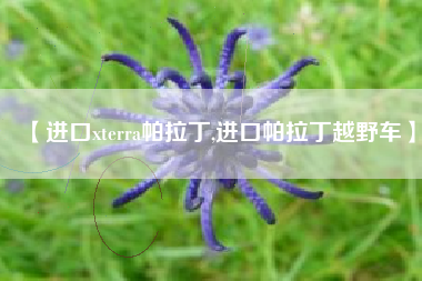 【进口xterra帕拉丁,进口帕拉丁越野车】 【进口xterra帕拉丁,进口帕拉丁越野车】