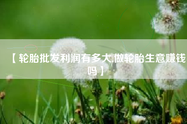 【轮胎批发利润有多大,做轮胎生意赚钱吗】