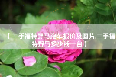 【二手福特野马跑车报价及图片,二手福特野马多少钱一台】