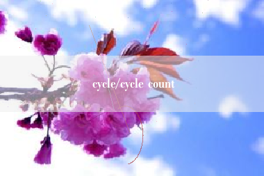 cycle/cycle count