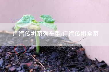 广汽传祺系列车型/广汽传祺全系