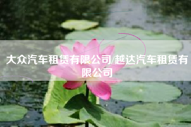 大众汽车租赁有限公司/越达汽车租赁有限公司